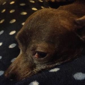 Meet your Posher, Lee